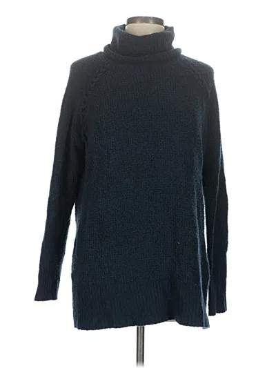 Pre-owned American Eagle Outfitters Turtleneck Sweater In Blue