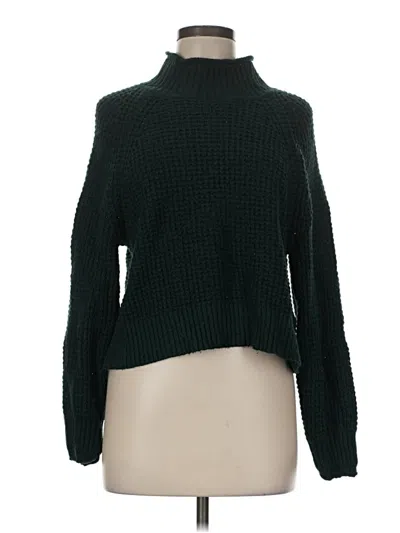 Pre-owned American Eagle Outfitters Turtleneck Sweater In Green