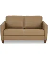 American Leather Co. Naomi 63" Leather Today Full Sleeper Sofa