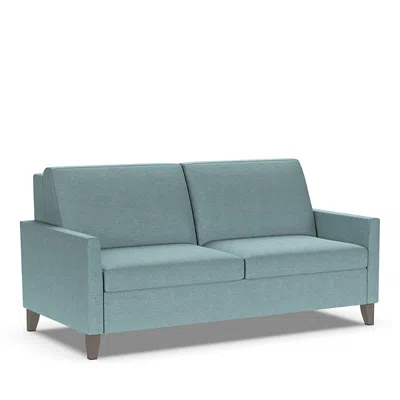 American Leather Harris Queen Comfort Sleeper In Archer Eucalyptus