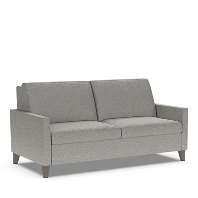 American Leather Harris Queen Comfort Sleeper In Archer Sable