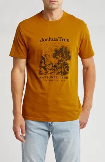 American Needle Joshua Tree Graphic T-shirt In Hazel