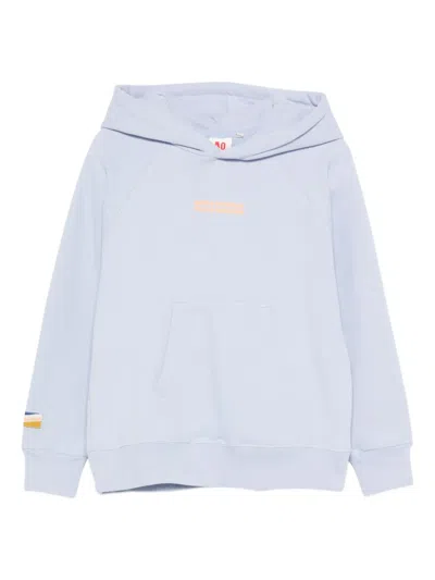 American Outfitters Embroidered Hoodie In Blue