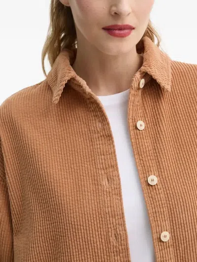 American Vintage Corduroy Button-fastening Shirt In Brown