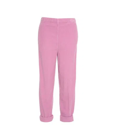 American Vintage Corduroy Joggers In Pink