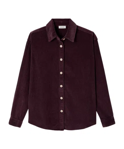 American Vintage Women's Shirt Padow In Purple