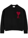 Ami Alexandre Mattiussi Ami Paris Sweaters In Multicolor