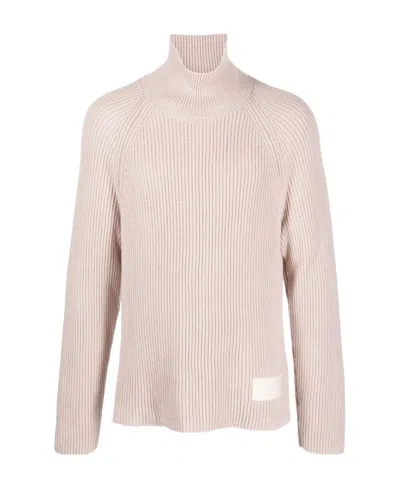 Ami Alexandre Mattiussi Ami Paris High Neck Ribbed Jumper In Pink