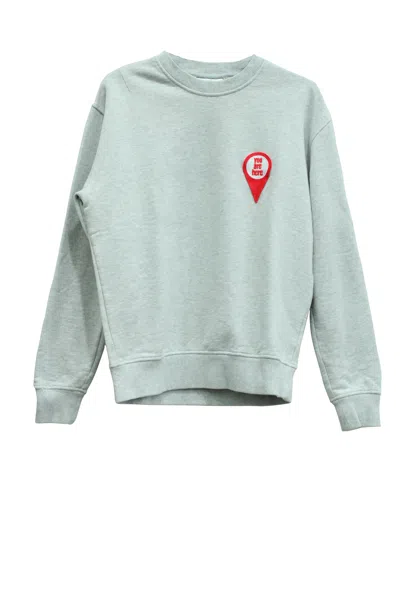 Ami Alexandre Mattiussi Ami "you Are Here" Sweatshirt In Grey Cotton