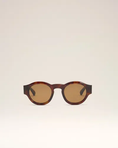 Ami Alexandre Mattiussi Brown Acetate 75002 Sunglasses Multicolor