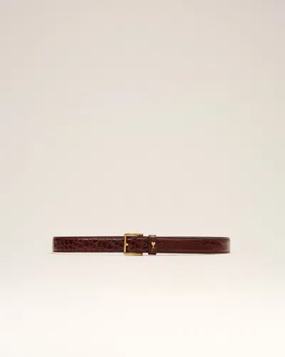 Ami Alexandre Mattiussi Brown Crocodile Cow Leather Paris Paris Belt 25 Mm Brown