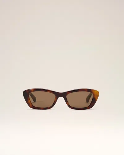 Ami Alexandre Mattiussi Brown Sunglasses 75020 Multicolor In Neutral