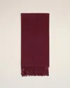 Ami Alexandre Mattiussi Ami De Coeur Wool Scarf In Burgundy