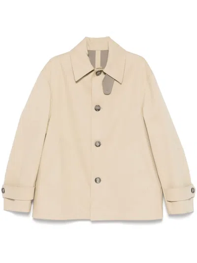Ami Alexandre Mattiussi Cotton Jacket In Neutrals