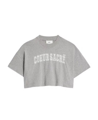 Ami Alexandre Mattiussi Letters Embroidered T-shirt In Gray