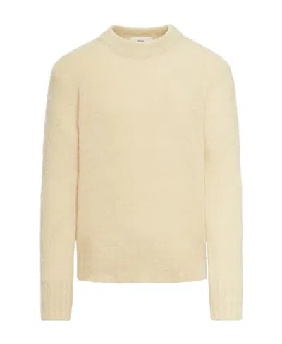 Ami Alexandre Mattiussi Long-sleeved Round Neck Sweater In Nude