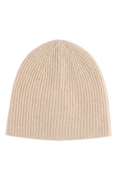 Amicale Cashmere Double Layer Rib Knit Beanie In Brown