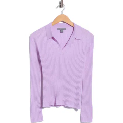 Amicale Rib Cashmere Polo Sweater In Purple