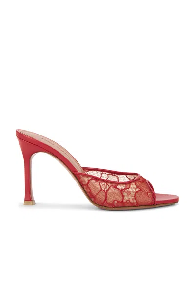 AMINA MUADDI ALEXA 95 LACE SLIPPER