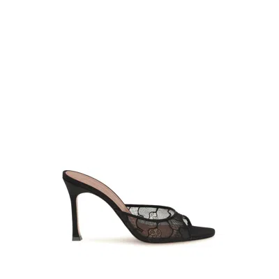 Amina Muaddi Alexa Lace Mule In Black