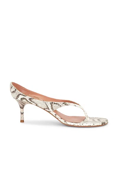 Amina Muaddi Alexandra 60 Thong Slipper Sandal In Natural