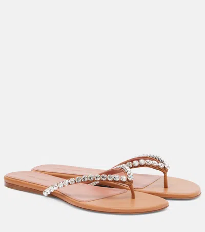 Amina Muaddi Gigi Embellished Leather Thong Sandals In Brown