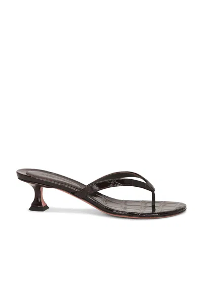 Amina Muaddi Juliette 45 Thong Sandal In Shiny Coffee Croc