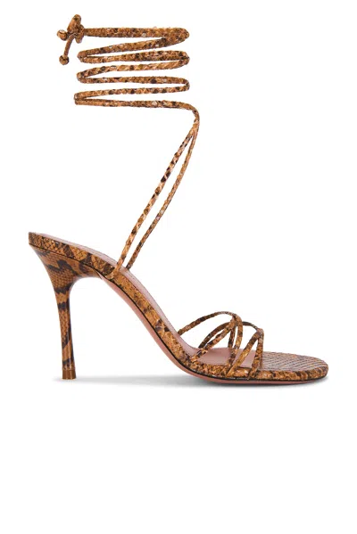 Amina Muaddi Lori 95 Lace Up Sandal In Animal Print