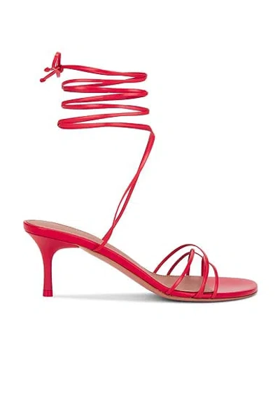 Amina Muaddi Lori Lace Up 60 Nappa Sandal In Red