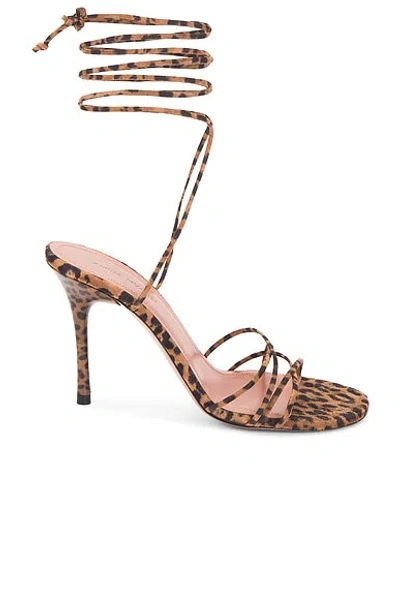 Amina Muaddi Lori 95 Snake-effect Lace-up Sandals In Brown