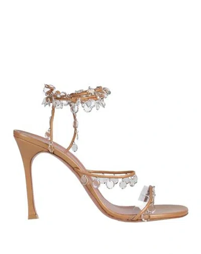 Amina Muaddi Beige Tina Lace-up Heeled Sandals In Pearly