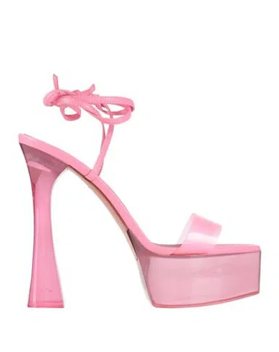 Amina Muaddi Woman Sandals Pink Size 8 Leather, Plastic