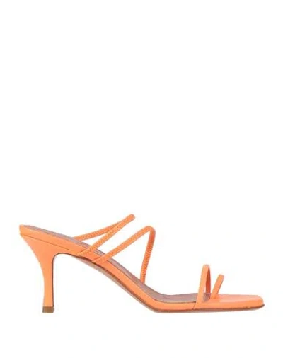 Amina Muaddi Woman Thong Sandal Orange Size 8 Leather