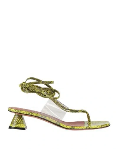 Amina Muaddi Woman Thong Sandal Yellow Size 8 Textile Fibers