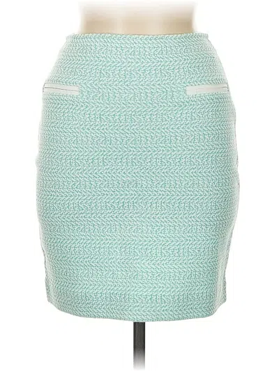 Pre-owned Amina Rubinacci Casual Skirt In Blue