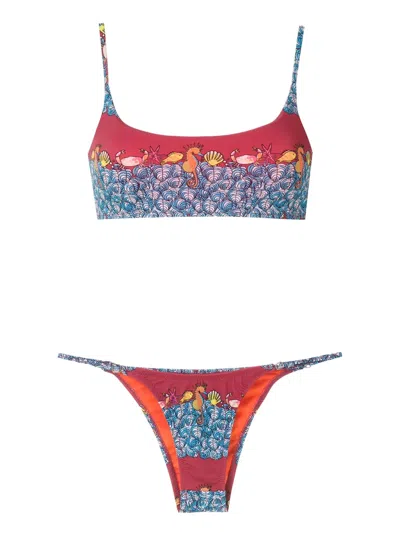 Amir Slama Animal-print Bikini Set In Blue