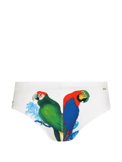 Amir Slama Parrot-print Swimming Trunks In Multi