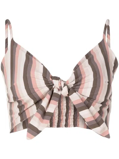 Amir Slama Striped Crop Top In Neutrals