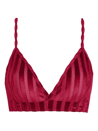 Amir Slama X Astrid Striped Crop Top In Purple
