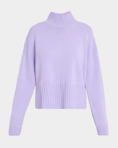 Amir Taghi Jamie Merino Wool And Cashmere Turtleneck Sweater In Purple