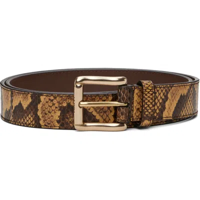 Amiri Brown Python Square Belt