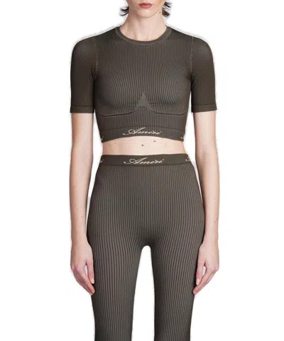 Amiri Crewneck Cropped T In Brown