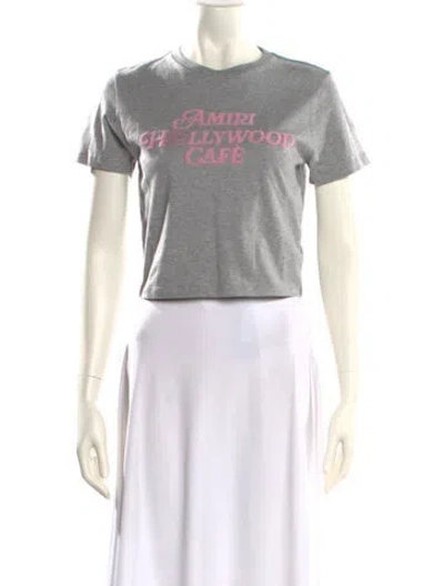 Pre-owned Amiri Graphic Print Crew Neck T-shirt In Gray