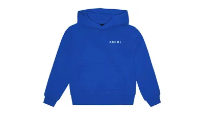 Pre-owned Amiri Kids' Bones Graphic Hoodie In Blue/red In Multi