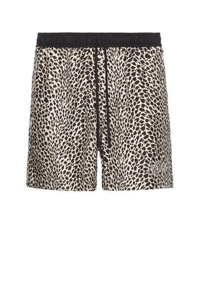 Amiri Ma Leopard Short In Black Birch