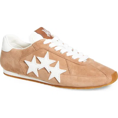 Amiri Pacific Stars Low Top Sneaker In Brown
