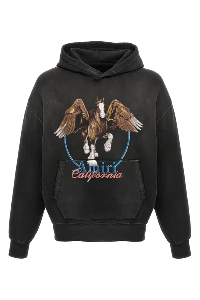 Amiri 'pegasus' Hoodie
