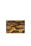 Amiri Python Card Holder In Brown