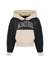 Amiri Hoodie In Grey
