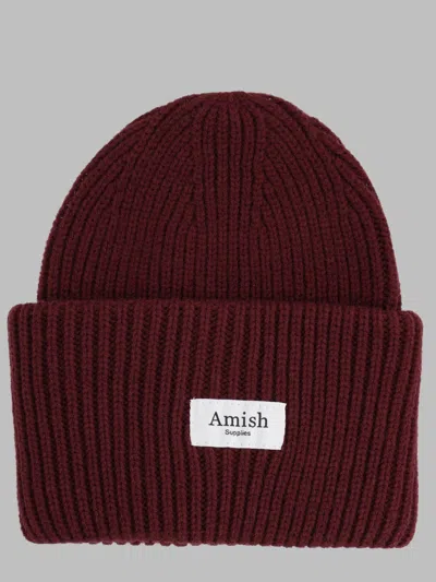 Amish In Burgundy